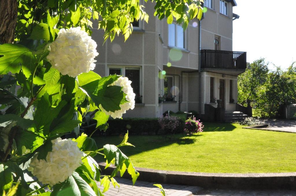 Elena Otel Palanga Dış mekan fotoğraf