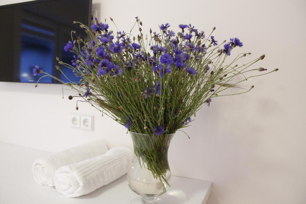 Elena Otel Palanga Oda fotoğraf